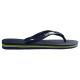 Havaianas Brasil Logo